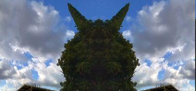 g13/79/738779/3/175335164.690bd24a.JPEG