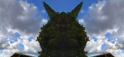 g13/79/738779/3/175335164.8df3c70b.JPEG