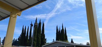 g13/79/738779/3/175364219.01a83ea9.JPEG
