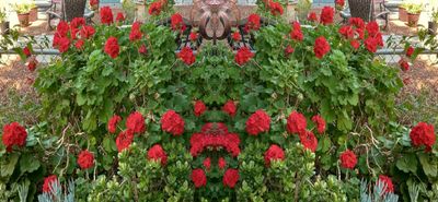 g13/79/738779/3/175368456.95a0d6e9.JPEG