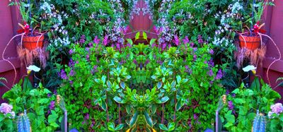g13/79/738779/3/175368457.c59bdb92.JPEG