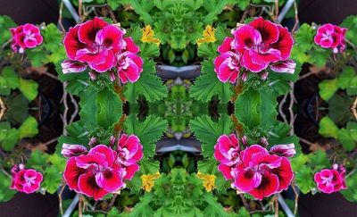 g13/79/738779/3/175368459.35d0a224.JPEG