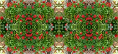 g13/79/738779/3/175368460.a8112f70.JPEG