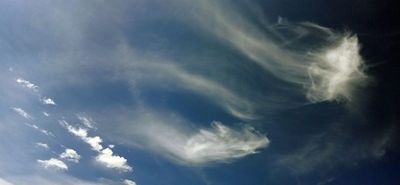 g13/79/738779/3/175372971.a67f3ba1.JPEG