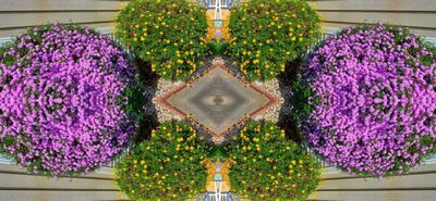g13/79/738779/3/175373106.f258af30.JPEG