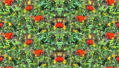 g13/79/738779/3/175388516.a89c8888.JPEG