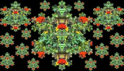 g13/79/738779/3/175388517.89f1fabc.JPEG