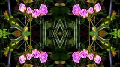 g13/79/738779/3/175388518.51e96a0f.JPEG