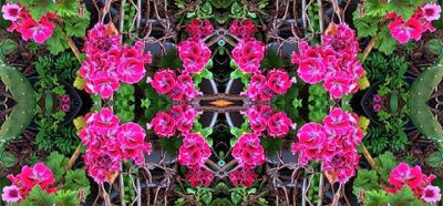 g13/79/738779/3/175388519.3c3e39a0.JPEG