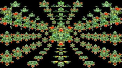 g13/79/738779/3/175390516.cb7f9cc8.JPEG