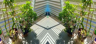 g13/79/738779/3/175415810.075eea33.JPEG