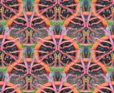 g13/79/738779/3/175415821.3ad334cb.JPEG