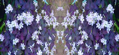 g13/79/738779/3/175415905.7d2ec04a.JPEG