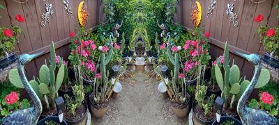 g13/79/738779/3/175415908.771984e0.JPEG