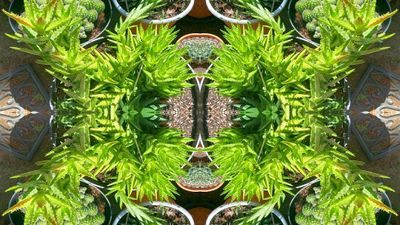 g13/79/738779/3/175415915.b23b8679.JPEG