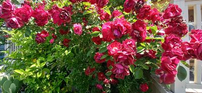 g13/79/738779/3/175415924.11474be5.JPEG