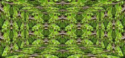 g13/79/738779/3/175438210.484318ea.JPEG