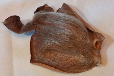 Hairy Leaf