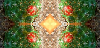 g13/79/738779/3/175481713.e5e9b15c.JPEG
