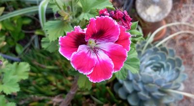 g13/79/738779/3/175497800.c4675f09.JPEG