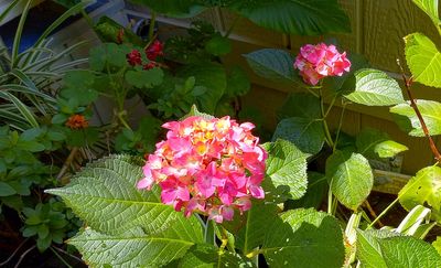 g13/79/738779/3/175505235.0bb0e8f3.JPEG