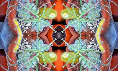 g13/79/738779/3/175529842.a41d5ce7.JPEG