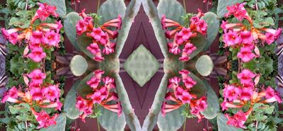 g13/79/738779/3/175554203.78b39995.JPEG