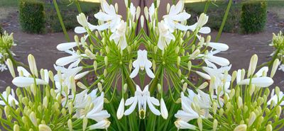 g13/79/738779/3/175560438.01061c4d.JPEG