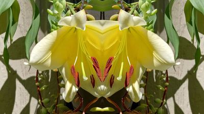 g13/79/738779/3/175562140.ea2422d6.JPEG