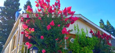 g13/79/738779/3/175587409.d788ba7e.JPEG