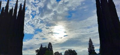 g13/79/738779/3/175652936.e5f73594.JPEG