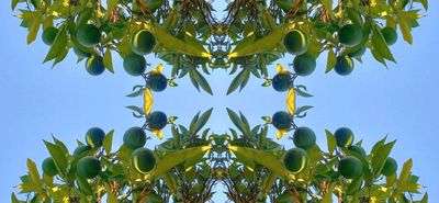 YuFlo 13