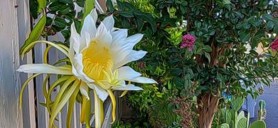 g13/79/738779/3/175719630.0f55d4fb.JPEG