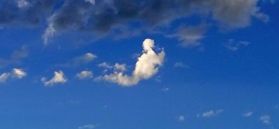 g13/79/738779/3/175739514.22bcae4f.JPEG