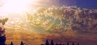 g13/79/738779/3/175787200.d33d0ba9.JPEG