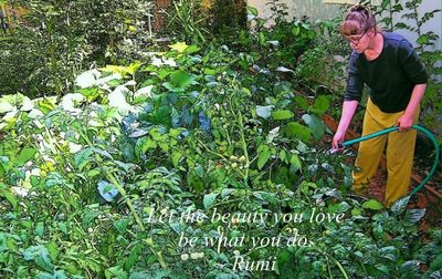 The Gardener
