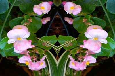 g13/79/738779/3/175820750.61145d97.JPEG