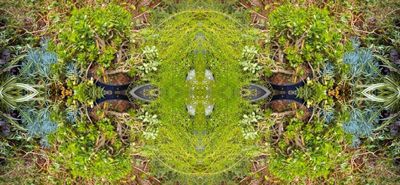 g13/79/738779/3/175832048.af7c95d7.JPEG