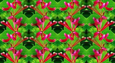 g13/79/738779/3/73393451.888b6e4d.JPEG