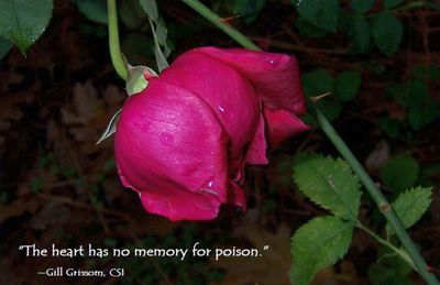 No Memory