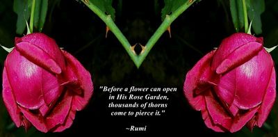 Before a Flower Can Open