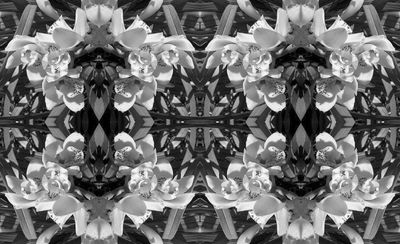g13/79/738779/3/74217690.aa1a6852.JPEG