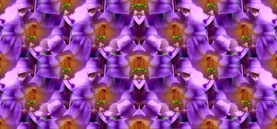 g13/79/738779/3/82801533.3d1ff367.JPEG
