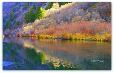 A gallery of scenes and wildlife from the High Country.