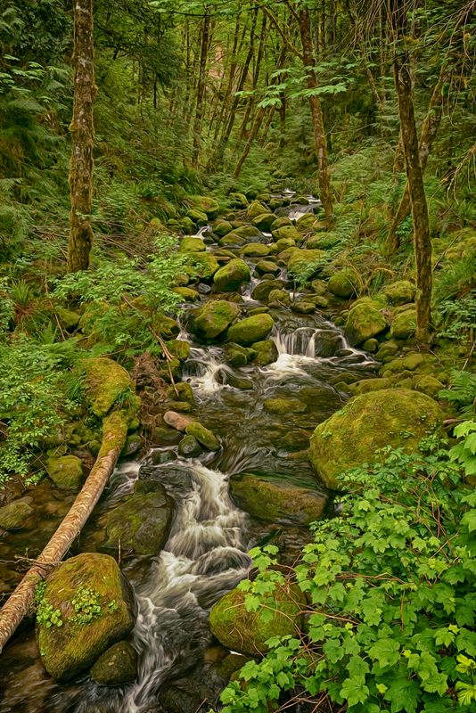 Oregon Creek