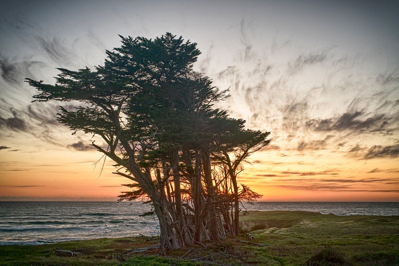 Fort Bragg Bluff