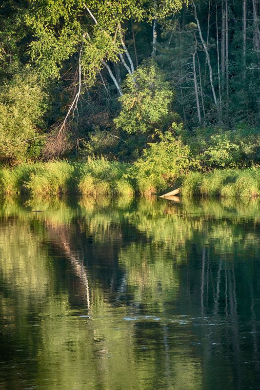 Bank Along Flambeau River