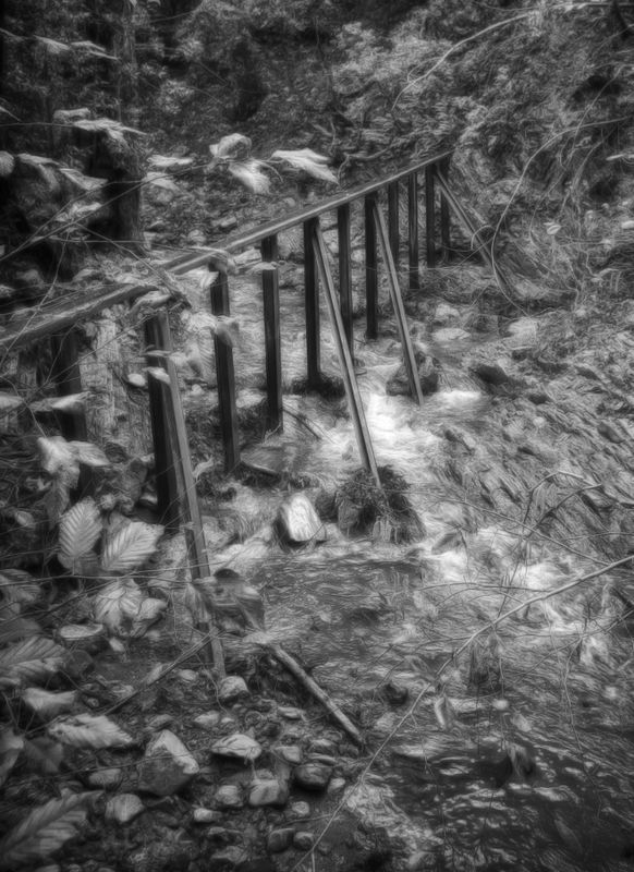 Santa Rosa Creek - Cambria - California