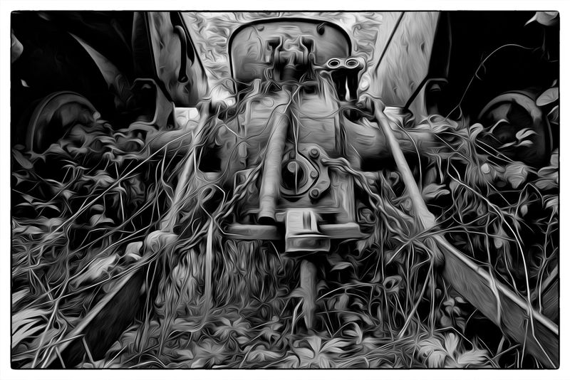 Tractor and Weeds