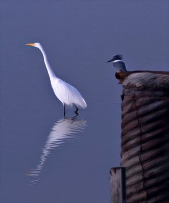 Egret and Kingfisher